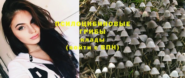 mix Алексин