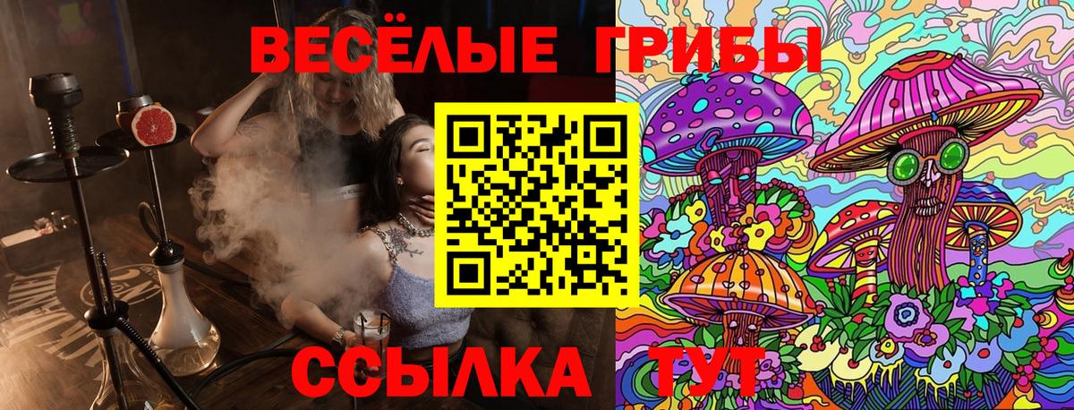 Тамбов  наркотики  Галлюциногенные грибы Psilocybe  Вход с VPN  Галлюциногенные грибы Magic Shrooms 