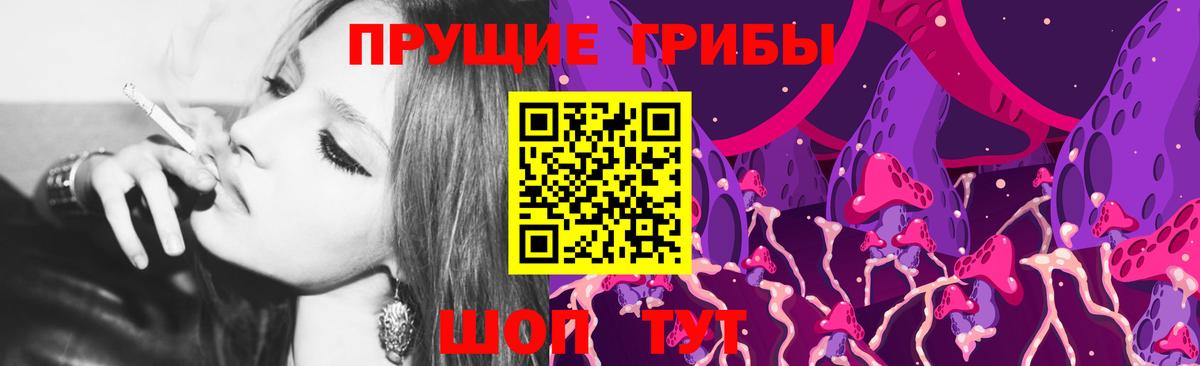 Псилоцибиновые грибы прущие грибы Тамбов