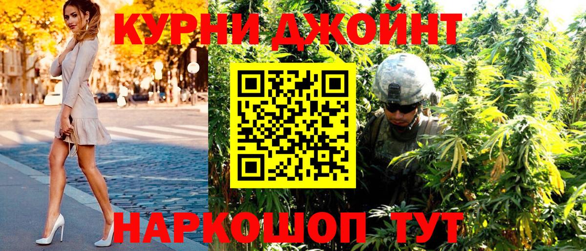 Шишки марихуана планчик  Бошки марихуана план  Вход с VPN  Бошки марихуана White Widow  Тамбов 